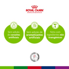 Ração Seca Royal Canin Mini Indoor Adult para Cães Adultos de Porte Pequeno