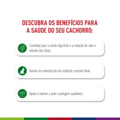 Ração Seca Royal Canin Mini Indoor Adult para Cães Adultos de Porte Pequeno