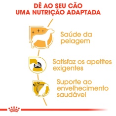 Ração Seca Royal Canin para Cães Adultos da Raça Yorkshire