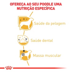 Ração Royal Canin para Cães Adultos da Raça Poodle