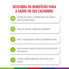 Ração Seca Royal Canin X-Small Adult 8+ para Cães Adultos e Idosos de Porte Miniatura com 8 Anos ou mais