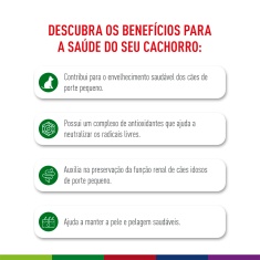 Ração Seca Royal Canin Mini Ageing 12+ para Cães Idosos de Porte Pequeno com 12 Anos ou mais