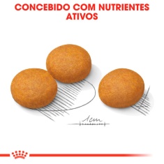 Ração Royal Canin Maxi Dermacomfort para Cães Adultos e Idosos de Porte Grande - 10,1 Kg