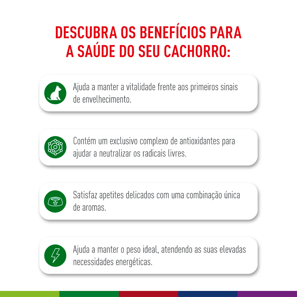 Ração Seca Royal Canin Mini Adult 8+ para Cães Adultos de Porte Pequeno com 8 Anos ou mais