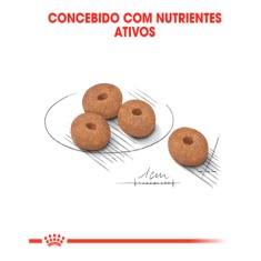 Ração Royal Canin Mini Light para Cães Adultos de Porte Pequeno com Tendência à Obesidade