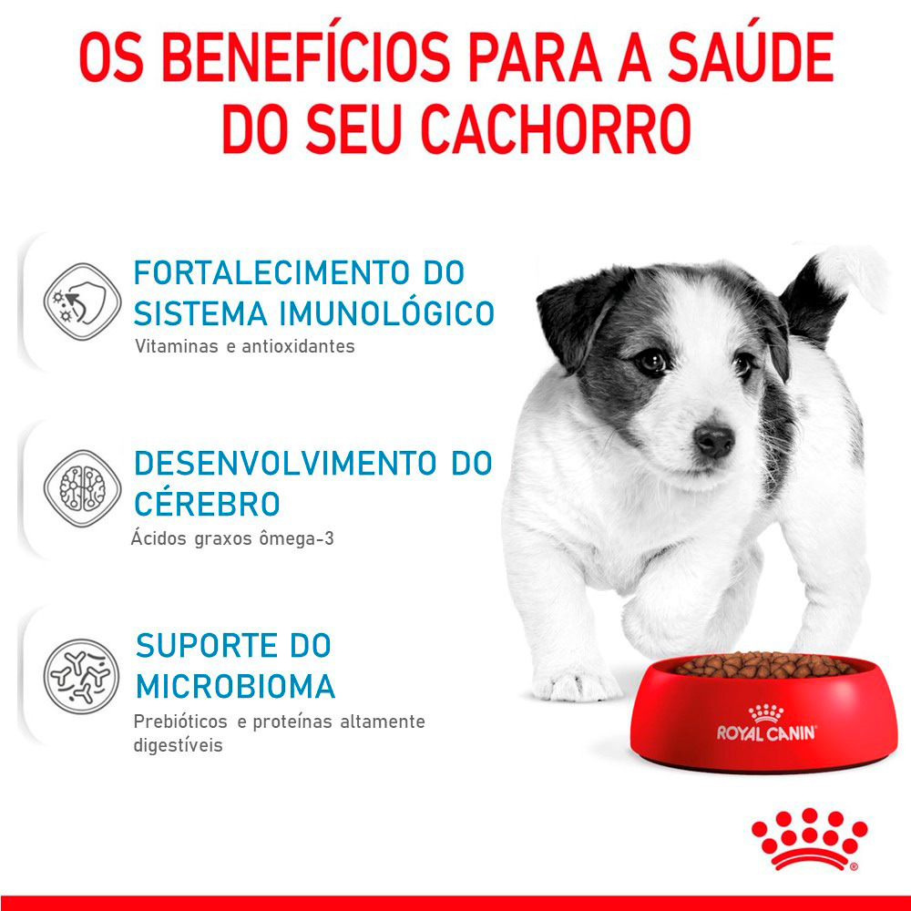 Ração Seca Royal Canin Mini Puppy para Cães Filhotes de Porte Pequeno