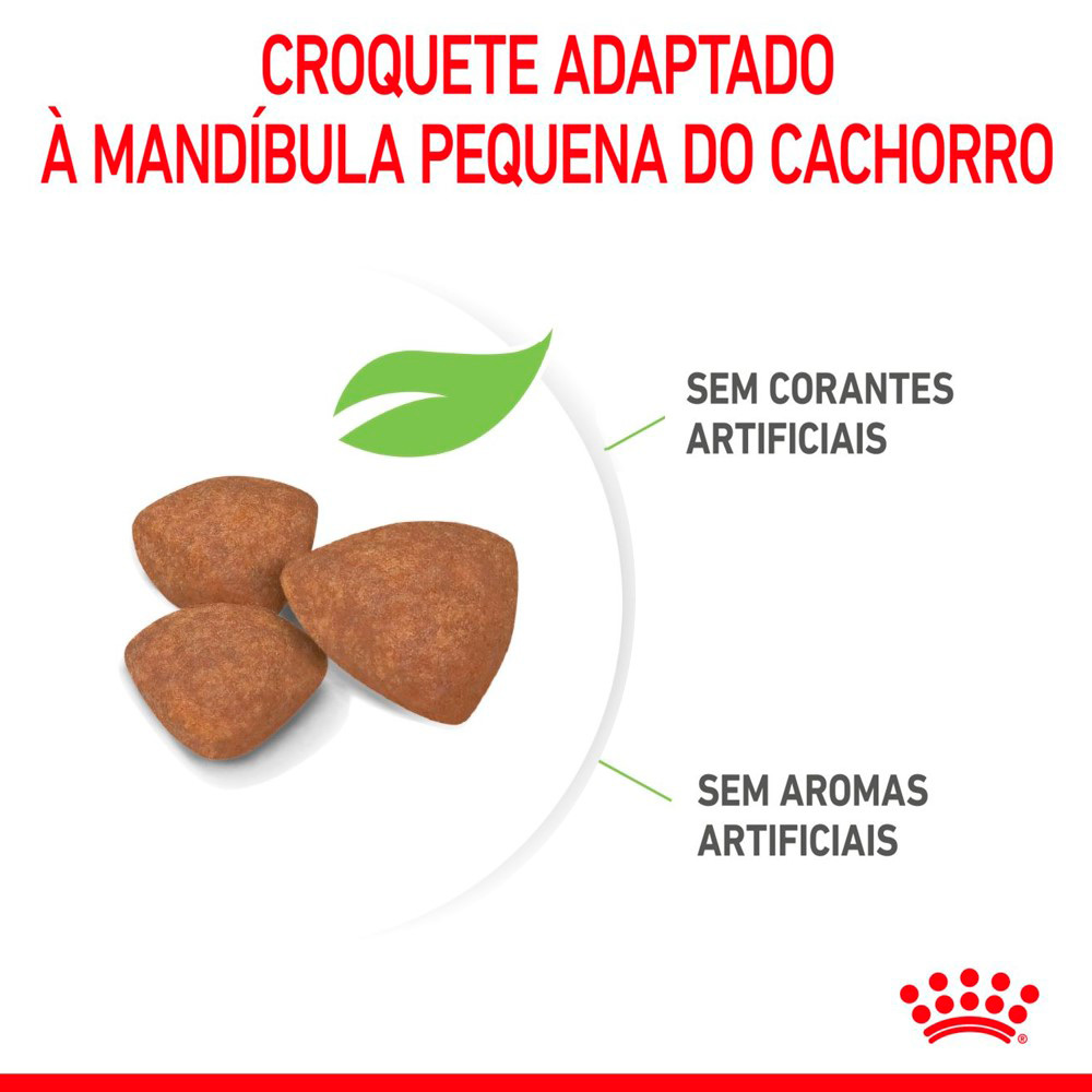 Ração Seca Royal Canin Mini Puppy para Cães Filhotes de Porte Pequeno