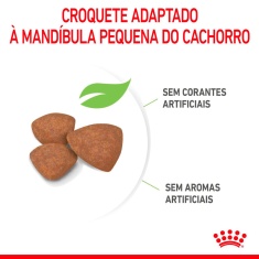 Ração Seca Royal Canin Mini Puppy para Cães Filhotes de Porte Pequeno