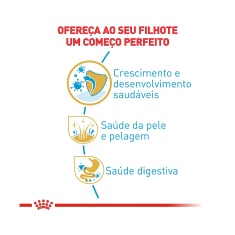 Ração Seca Royal Canin Puppy para Cães Filhotes da Raça Shih Tzu
