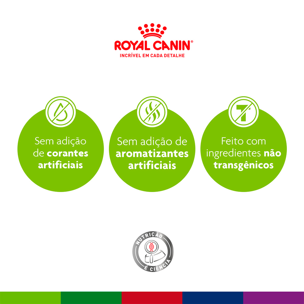 Ração Seca Royal Canin Mini Indoor Adult para Cães Adultos de Porte Pequeno