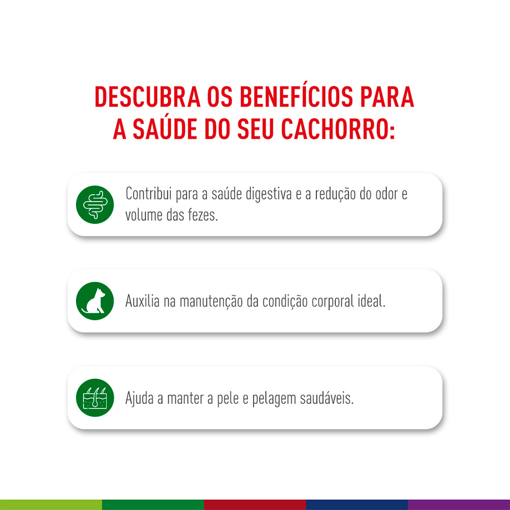 Ração Seca Royal Canin Mini Indoor Adult para Cães Adultos de Porte Pequeno