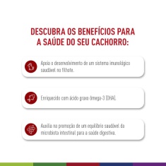 Ração Seca Royal Canin Medium Puppy para Cães Filhotes de Porte Médio