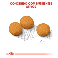 Ração Royal Canin Medium Dermacomfort para Cães Adultos ou Idosos de Porte Médio