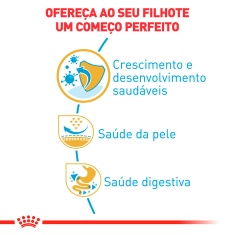 Ração Royal Canin Puppy para Cães Filhotes da Raça Pug