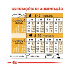 Ração Royal Canin Puppy para Cães Filhotes da Raça Pug