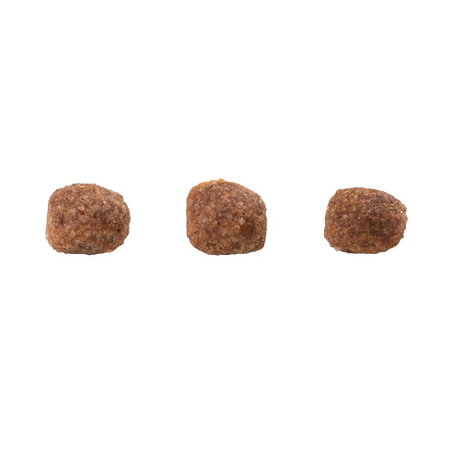 Ração Guabi Natural para Cães Filhotes de Porte Mini e Pequeno Sabor Frango e Arroz Integral