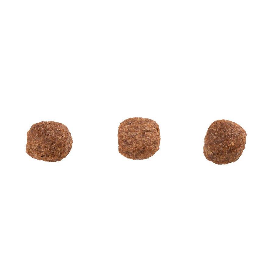 Ração Guabi Natural para Cães Adultos de Porte Mini e Pequeno Sabor Frango e Arroz Integral