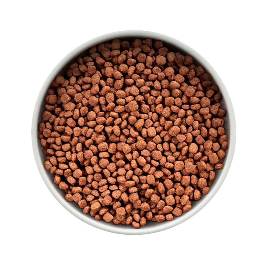 Ração Guabi Natural para Cães Filhotes de Porte Mini e Pequeno Sabor Frango e Arroz Integral