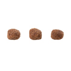 Ração Guabi Natural para Cães Filhotes de Porte Mini e Pequeno Sabor Frango e Arroz Integral