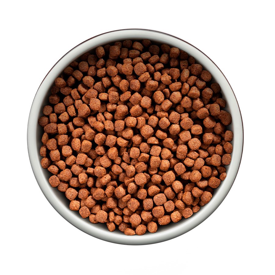 Ração Guabi Natural para Cães Adultos de Porte Mini e Pequeno Sabor Frango e Arroz Integral