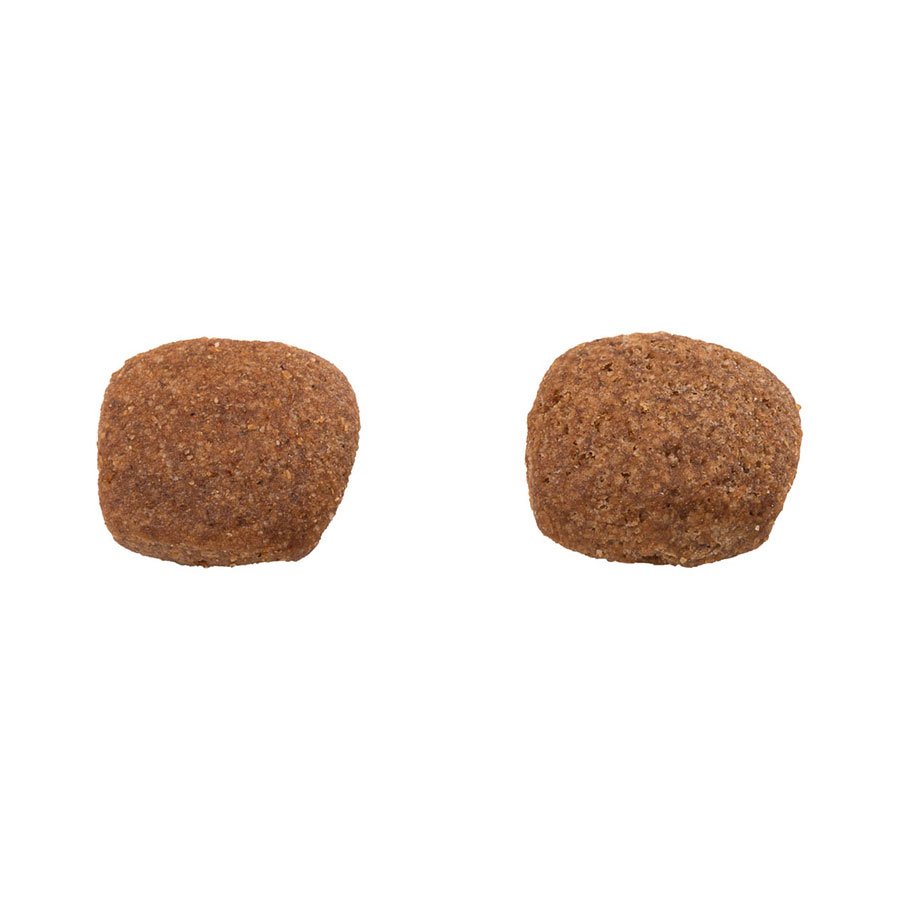 Ração Guabi Natural para Cães Adultos de Raças Médias sabor Frango & Arroz Integral