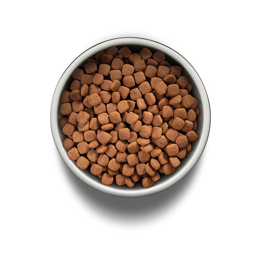 Ração Guabi Natural para Cães Adultos de Raças Médias sabor Frango & Arroz Integral