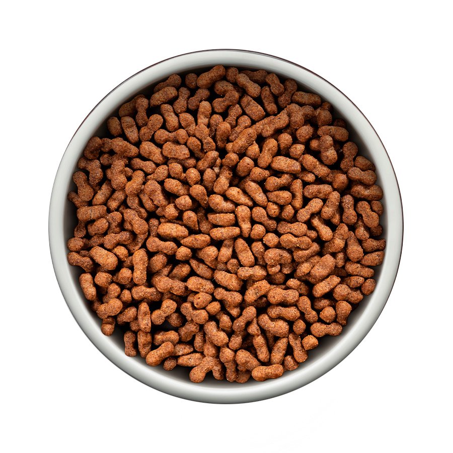 Ração Guabi Natural para Cães Adultos de Porte Mini e Pequeno Sabor Salmão e Cevada