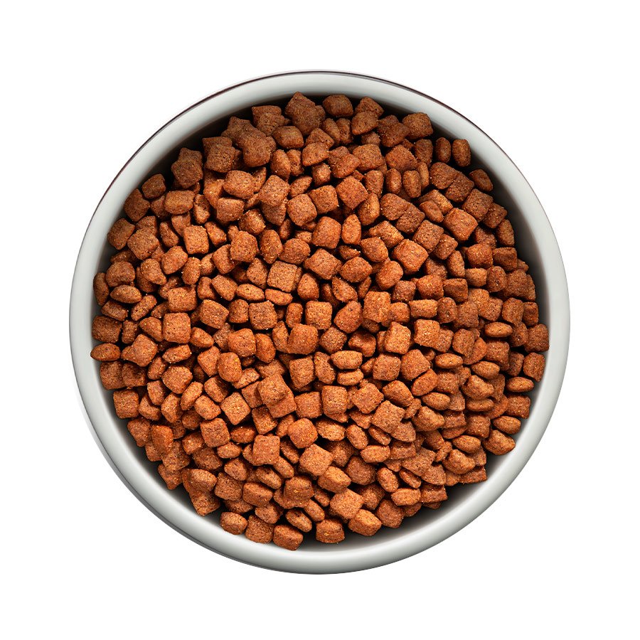 Ração Guabi Natural para Cães Sênior de Porte Mini e Pequeno Sabor Frango e Arroz Integral