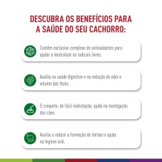 Ração Seca Royal Canin Mini Indoor Senior para Cães Idosos de Porte Pequeno com 8 Anos ou mais