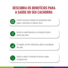 Ração Seca Royal Canin Mini Indoor Senior para Cães Idosos de Porte Pequeno com 8 Anos ou mais