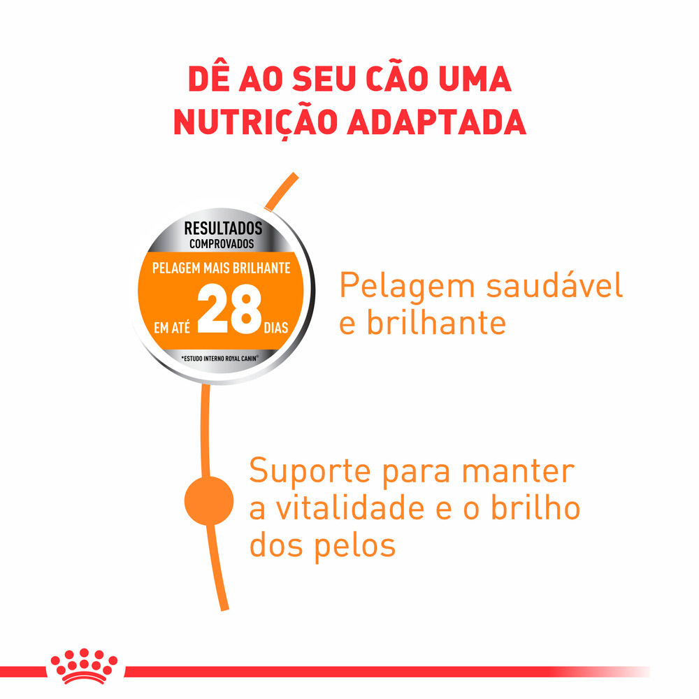 Ração Royal Canin Cuidado da Pelagem para Cães Adultos de Porte Pequeno a Partir de 10 Meses de Idade 2,5 kg