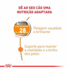 Ração Royal Canin Cuidado da Pelagem para Cães Adultos de Porte Pequeno a Partir de 10 Meses de Idade 2,5 kg