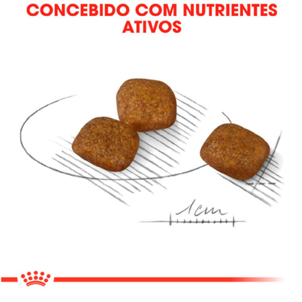 Ração Royal Canin Cuidado da Pelagem para Cães Adultos de Porte Pequeno a Partir de 10 Meses de Idade 2,5 kg