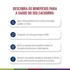Ração Seca Royal Canin Maxi Puppy para Cães Filhotes de Porte Grande