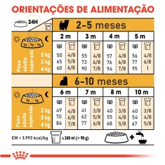 Ração Seca Royal Canin Puppy para Cães Filhotes da Raça Yorkshire