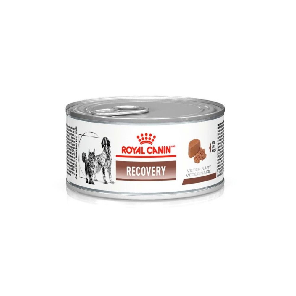 Ração Úmida Royal Canin Lata Veterinary Diet Recovery para Cães e Gatos em Recuperação - 195 g