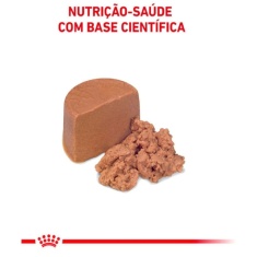 Ração Úmida Royal Canin Lata Veterinary Diet Recovery para Cães e Gatos em Recuperação - 195 g