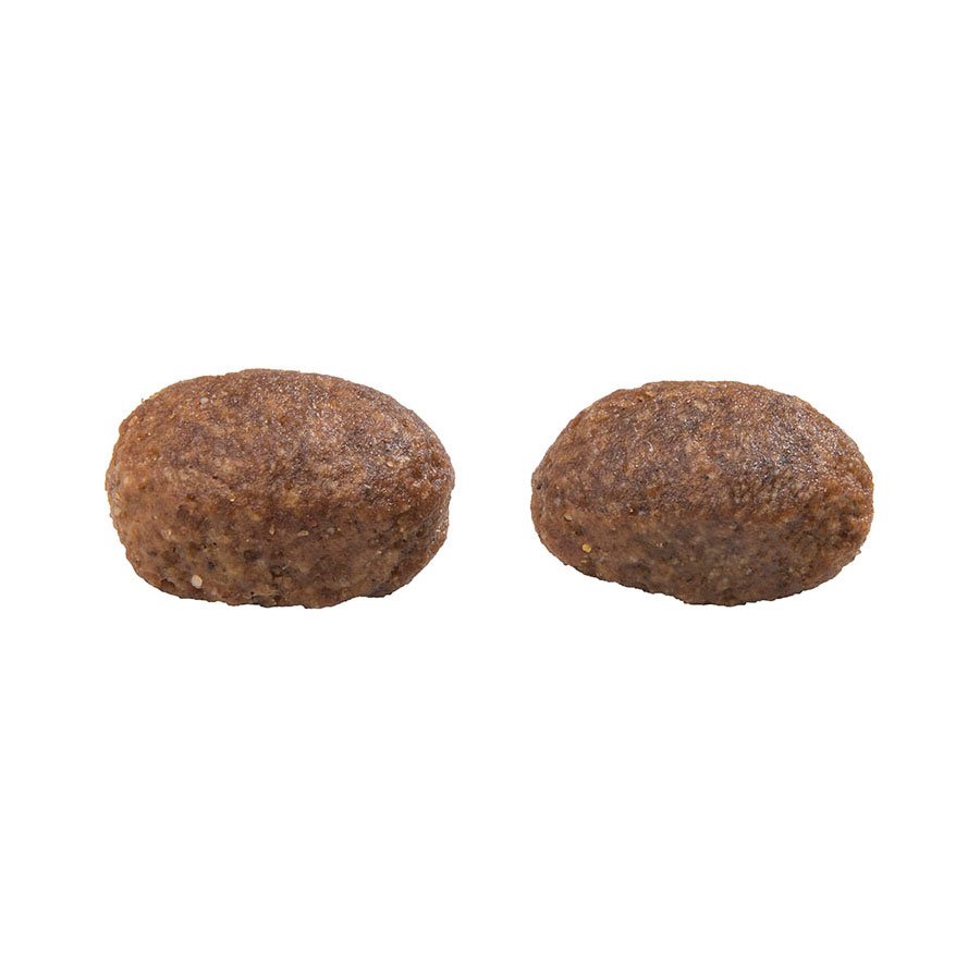 Ração GranPlus Menu para Cães Adultos de Porte Médio e Grande Sabor Frango e Arroz