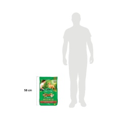 Ração Dog Chow para Cães Filhotes de Porte Médio e Grande Sabor Carne, Frango e Arroz