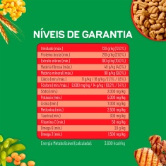 Ração Dog Chow para Cães Adultos de Porte Médio e Grande Sabor Carne, Frango e Arroz