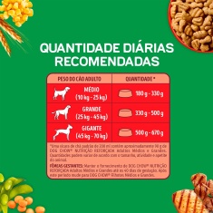 Ração Dog Chow para Cães Adultos de Porte Médio e Grande Sabor Carne, Frango e Arroz