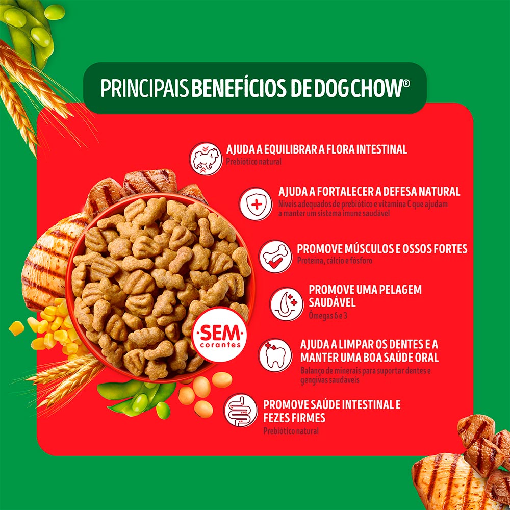 Ração Dog Chow para Cães Adultos de Porte Médio e Grande Sabor Carne, Frango e Arroz