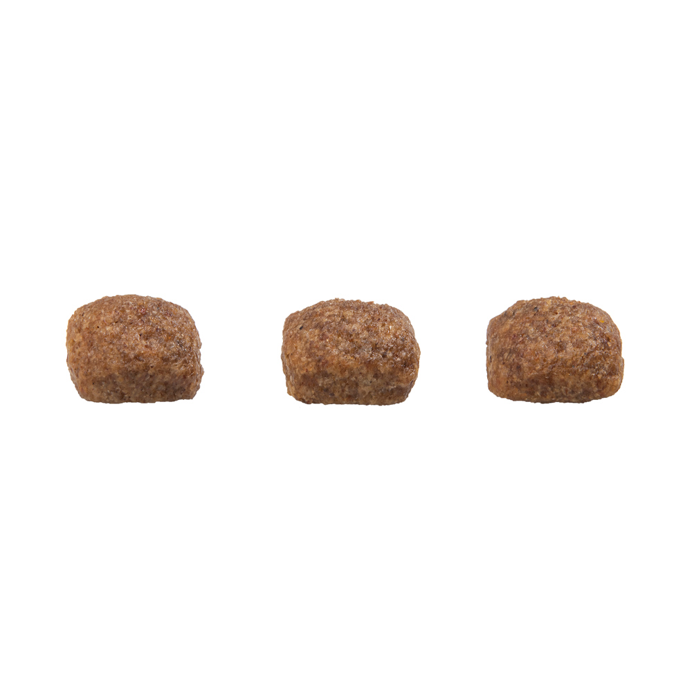 Ração GranPlus Menu para Cães Adultos de Porte Mini Sabor Carne e Arroz