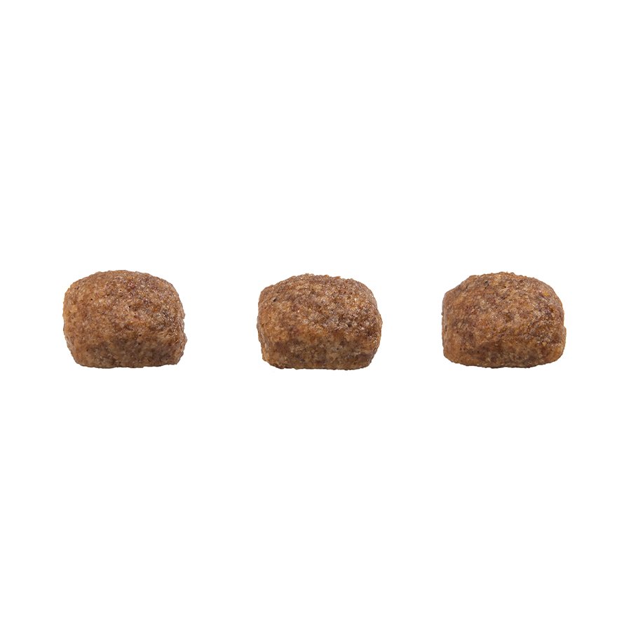 Ração GranPlus Menu para Cães Adultos de Porte Mini Sabor Carne e Arroz