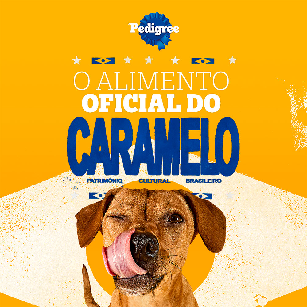 Ração Pedigree Nutrição Essencial Carne para Cães Adultos