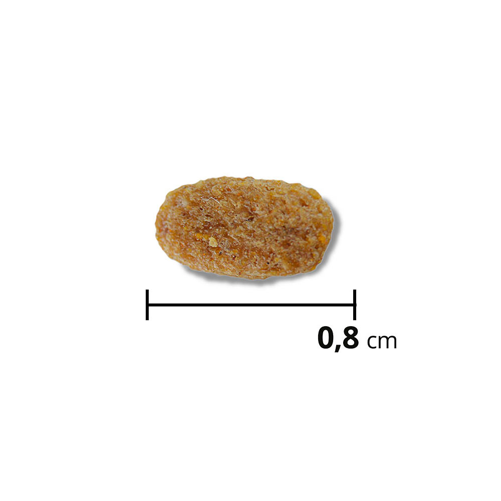 Ração Max para Cães Sênior de Porte Médio e Grande Sabor Frango e Arroz