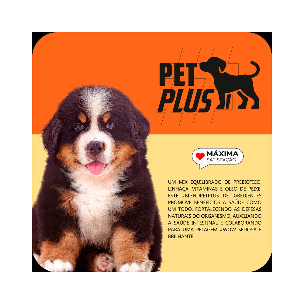 Ração Max para Cães Filhotes de Porte Médio e Grande Sabor Carne e Arroz