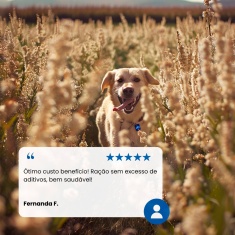 Ração Farmina N&D Ancestral Selection para Cães Adultos de Raças Grandes Sabor Frango - 15kg