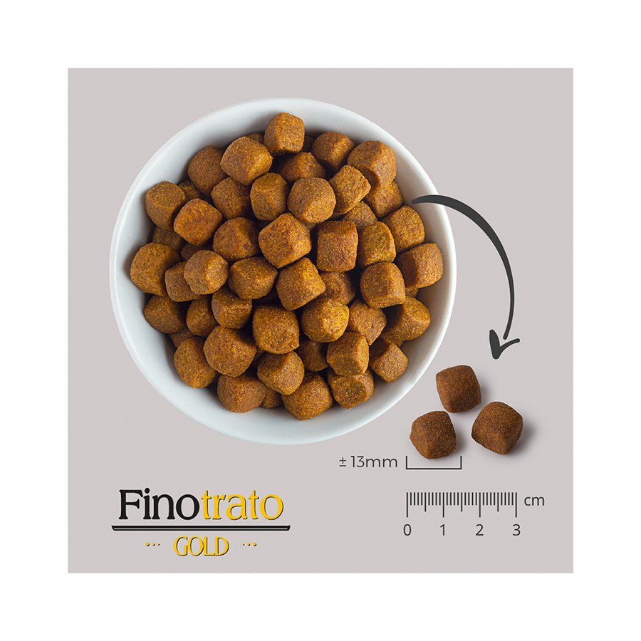 Ração Finotrato Gold para Cães Adultos de Porte Grande e Gigante