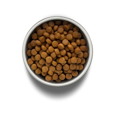 Ração Guabi Natural Grain Free para Cães Adultos de Porte Médio Sabor Frango e Lentilha